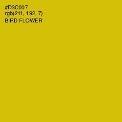 #D3C007 - Bird Flower Color Image