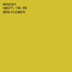 #D3C031 - Bird Flower Color Image