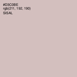 #D3C0BE - Sisal Color Image