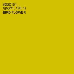 #D3C101 - Bird Flower Color Image