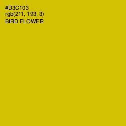 #D3C103 - Bird Flower Color Image