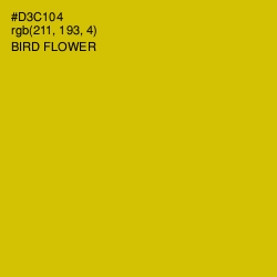 #D3C104 - Bird Flower Color Image