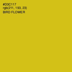 #D3C117 - Bird Flower Color Image