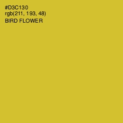 #D3C130 - Bird Flower Color Image