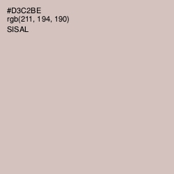 #D3C2BE - Sisal Color Image