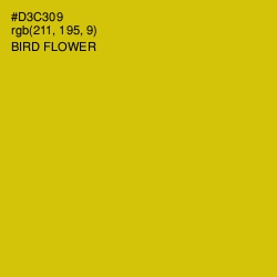 #D3C309 - Bird Flower Color Image