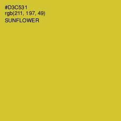 #D3C531 - Sunflower Color Image