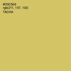 #D3C566 - Tacha Color Image
