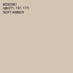 #D3C5B1 - Soft Amber Color Image