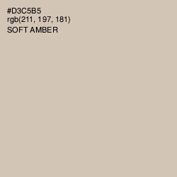 #D3C5B5 - Soft Amber Color Image