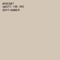 #D3C6B7 - Soft Amber Color Image