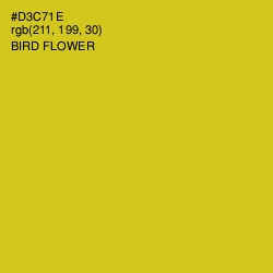 #D3C71E - Bird Flower Color Image