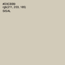 #D3CBB9 - Sisal Color Image