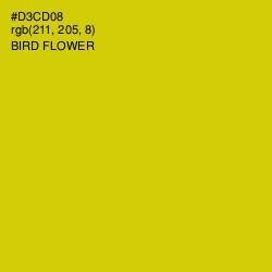 #D3CD08 - Bird Flower Color Image