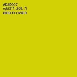 #D3D007 - Bird Flower Color Image