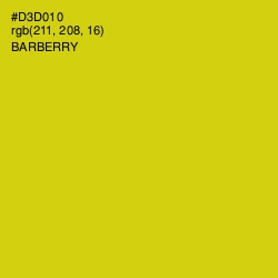 #D3D010 - Barberry Color Image