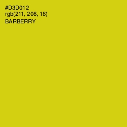 #D3D012 - Barberry Color Image