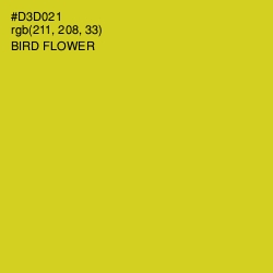 #D3D021 - Bird Flower Color Image