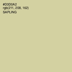 #D3D0A2 - Sapling Color Image