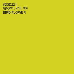 #D3D221 - Bird Flower Color Image