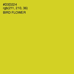 #D3D224 - Bird Flower Color Image