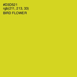 #D3D521 - Bird Flower Color Image