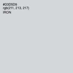 #D3D5D9 - Iron Color Image