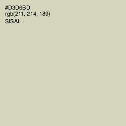 #D3D6BD - Sisal Color Image