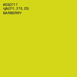 #D3D717 - Barberry Color Image