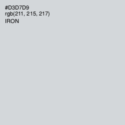 #D3D7D9 - Iron Color Image