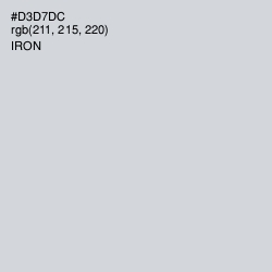 #D3D7DC - Iron Color Image