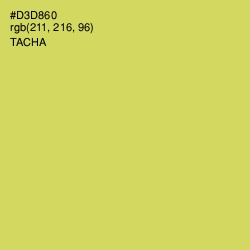 #D3D860 - Tacha Color Image