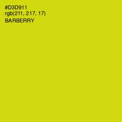 #D3D911 - Barberry Color Image