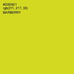 #D3D921 - Barberry Color Image