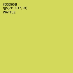 #D3D95B - Wattle Color Image