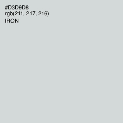 #D3D9D8 - Iron Color Image