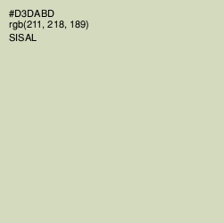 #D3DABD - Sisal Color Image