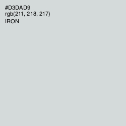 #D3DAD9 - Iron Color Image