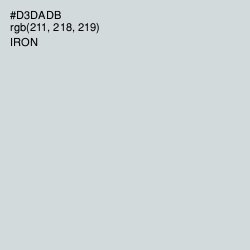 #D3DADB - Iron Color Image