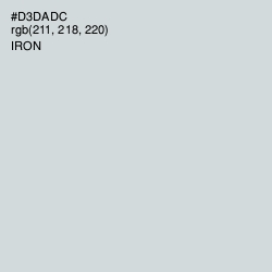 #D3DADC - Iron Color Image