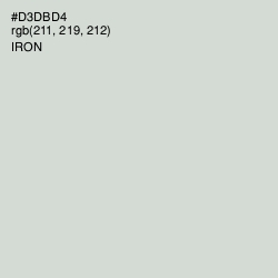 #D3DBD4 - Iron Color Image