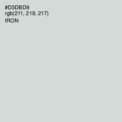 #D3DBD9 - Iron Color Image