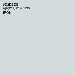 #D3DBDE - Iron Color Image