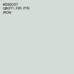 #D3DCD7 - Iron Color Image