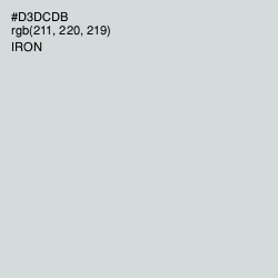 #D3DCDB - Iron Color Image