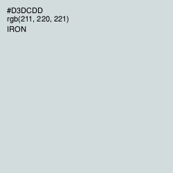 #D3DCDD - Iron Color Image