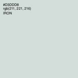 #D3DDD8 - Iron Color Image