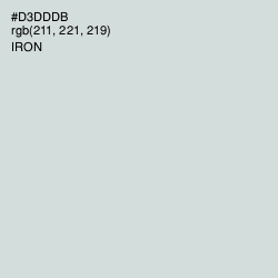 #D3DDDB - Iron Color Image