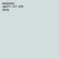 #D3DDDC - Iron Color Image