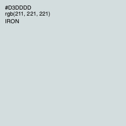 #D3DDDD - Iron Color Image